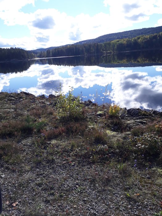 Höstlandskap med spegelblank sjö och skog i bakgrunden på en solig dag.