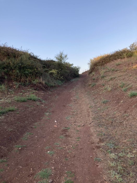 Dirt path between grassy areas leading up a hill with blue sky above.