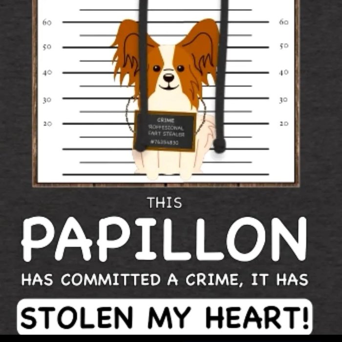 Illustration av en Papillon-hund bakom fängelsegaller med texten "This Papillon has stolen my heart!