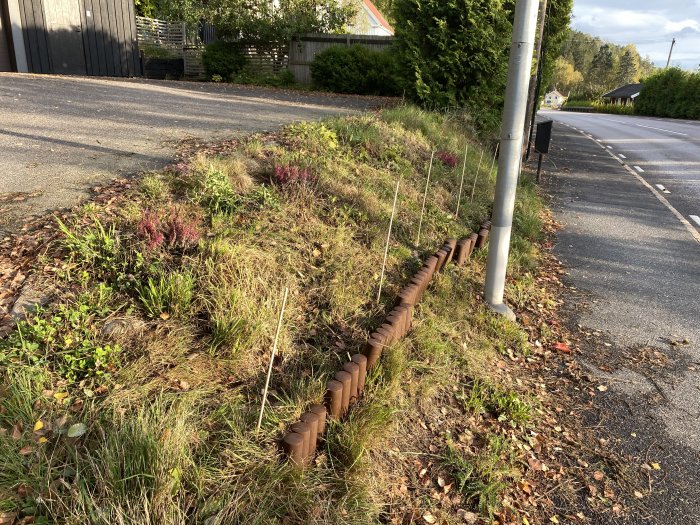 Kantskydd av bruna rören längs en gräsmatta vid en trottoarkant, installerad för att skydda mot hundar.