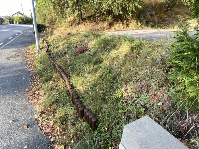 Nyinstallerad brun kantsten längs en vägkant med gräs och buskar, till skydd för husdjur.