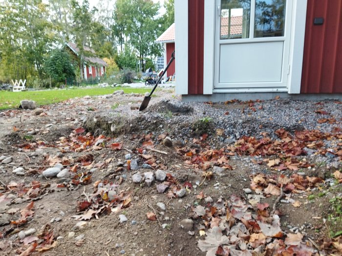 Område utanför hus som förberetts för anläggning av ny trädgårdsstig, med löv och spade.