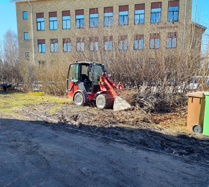 En liten röd lastmaskin som gräver i jorden vid en uppfart nära en brunbeskuren häck och byggnad i bakgrunden.