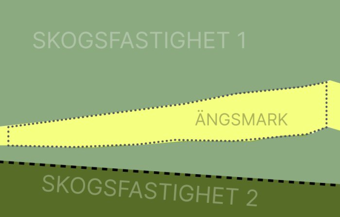 Schackrutig markering av ängsmark mellan två skogsfastigheter.