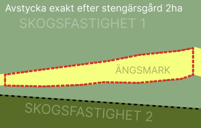 Schematisk karta över avstyckning av ängsmark mellan två skogsegendomar.