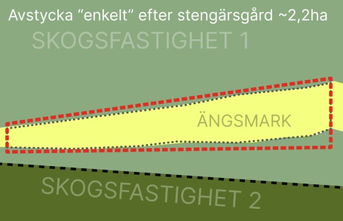 Schematisk översiktsbild över avstyckad ängsmark omkring 2,2 hektar mellan två skogsegendomar.