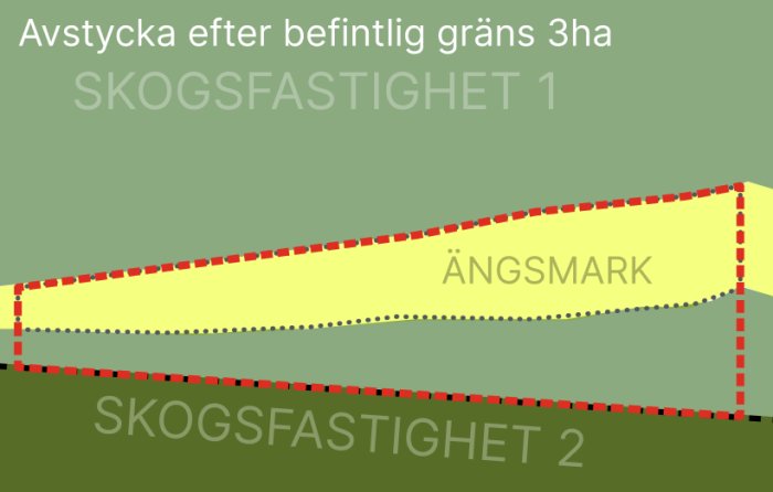 Grafisk representation av avstyckning på 3ha med ytmarkerat ängsmarkområde mellan två skogsegendomar.