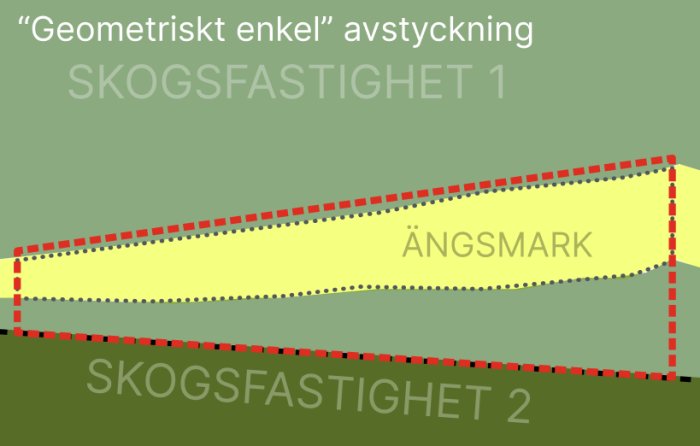 Skiss över geometriskt enkel avstyckning av ängsmark mellan två skogsegendomar.