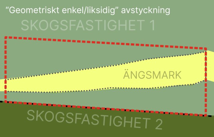 Schema över enkelt geometrisk avstyckad ängsmark mellan två skogsegendomar.