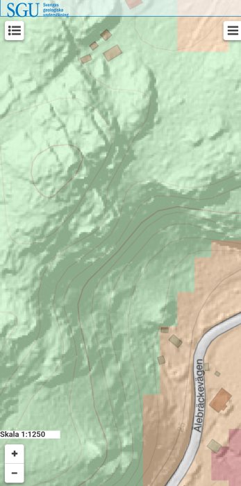 Topografisk karta som visar slänt med höjdkurvorna, en väg och några husmarkeringar, angiven skala 1:1250.