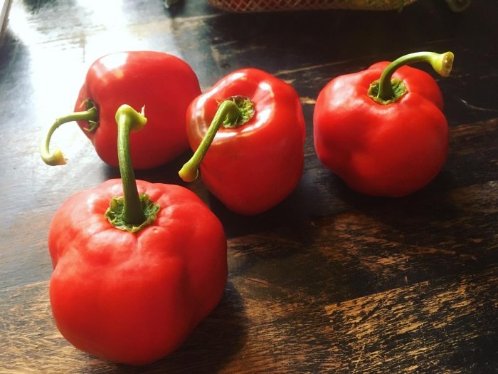 Fyra stora röda Rocoto Arequipa Giant chilifrukter på ett träbord.