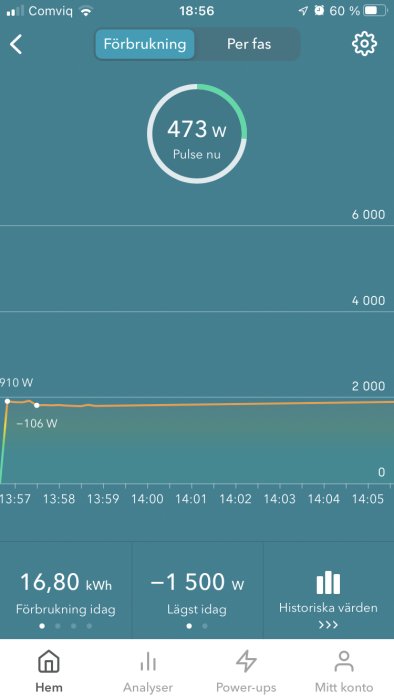 Skärmdump av energiförbrukningsapplikation som visar nuvarande puls och dagens historiska energiförbrukning.