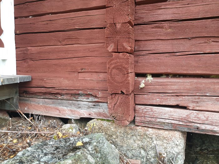 Rödmålad trävägg på ett äldre hus med synliga tecken på förfall och skador på de nedre stockarna.