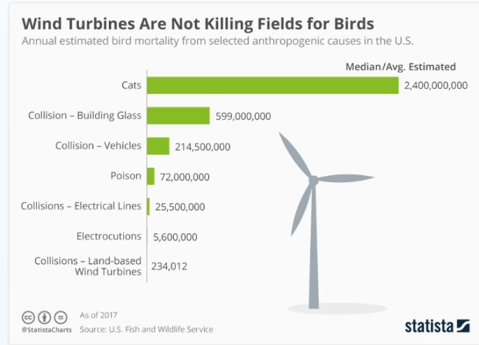 Diagram som jämför årlig fågeldödlighet i USA från olika källor, med fokus på hur vindturbiner orsakar färre dödsfall jämfört med andra faktorer.