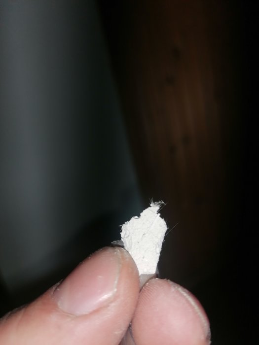 IMG_20221003_172019.jpg