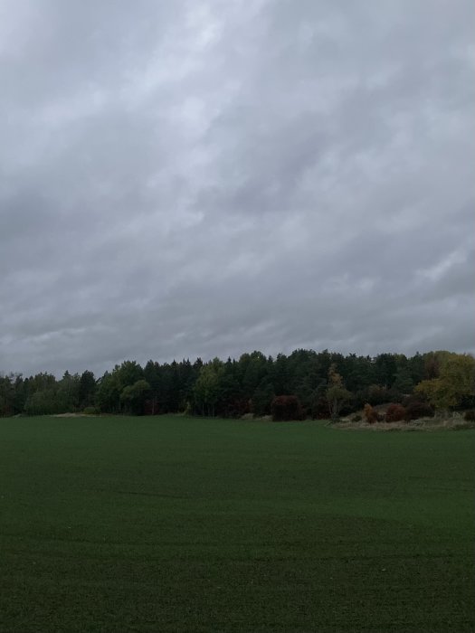 Mörk himmel över grönt fält med trädlinje vid horisonten.