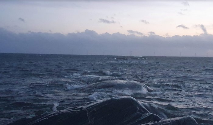 Skymningsvy över stormigt hav med vågor och silhuetter av vindkraftverk i fjärran.