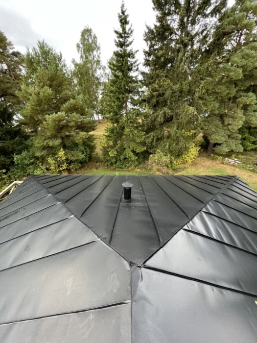 Svart plåttak med ventilationsrör i förgrunden och gröna träd i bakgrunden.