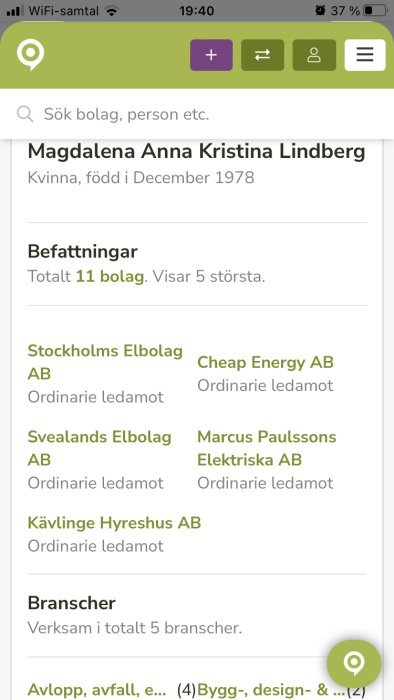 Skärmdump visar profil med namnet Magdalena Anna Kristina Lindberg och hennes befattningar i olika elbolag.