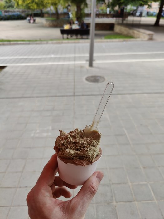 En hand håller en bägare med chokladglass mot en parkbakgrund.