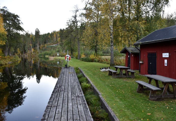 Tranquilt landskap med brygga, röd stuga, picknickbord och hundar nära en spegelblank sjö.