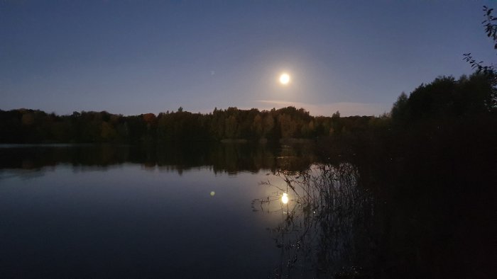 Fullmåne som speglas över en lugn sjö med mörka träd i bakgrunden under skymningen.