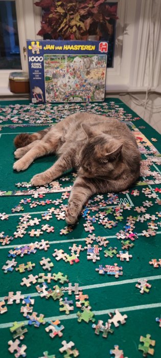 Gråbrun katt som ligger på ett oavslutat pussel med 1000 bitar på ett grönt bord.