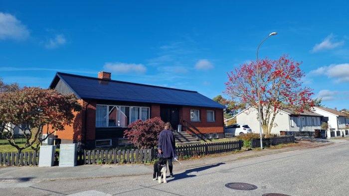 En rödtegelvilla med solpaneler på taket och skorsten, en person och hund promenerar framför, klarblå himmel i bakgrunden.