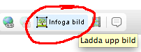 infoga-bild.gif