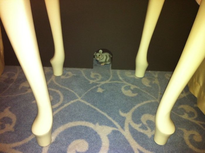 Mouse in wall.jpg