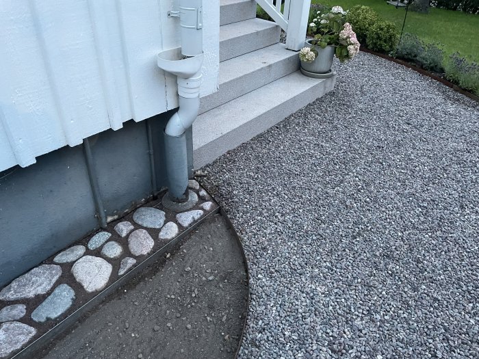 Grusgång och kullerstenskant längs husgrund med blommande växter och neråtlutande stuprör.