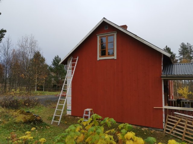 Röd panelbyggnad med stege lutad mot väggen, panel på gaveln synlig, omgiven av grönska.