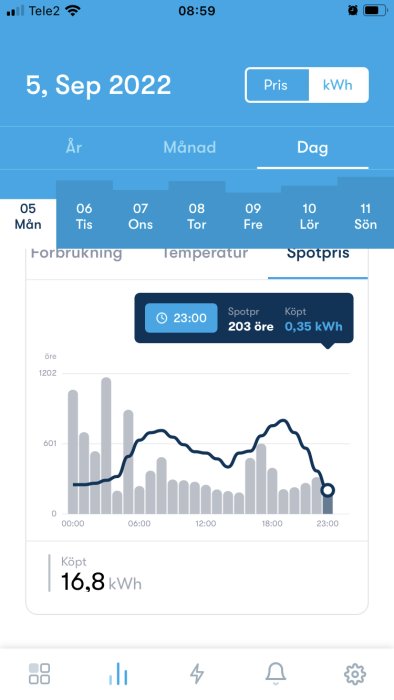 Skärmbild av energiförbrukningsdata och spotpris med gråa staplar och kurva i Greenely-appen.