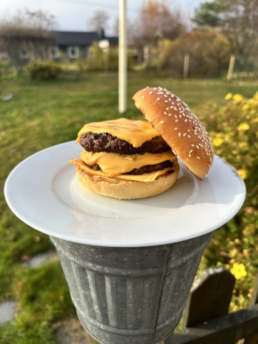 Hamburgare med ost på en tallrik utomhus med grönt gräs i bakgrunden.