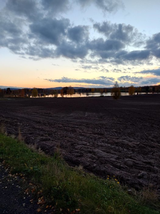 Solnedgång över ett lugnt landskap med nyligen plöjd åker, träd och en spegelblank sjö i bakgrunden.