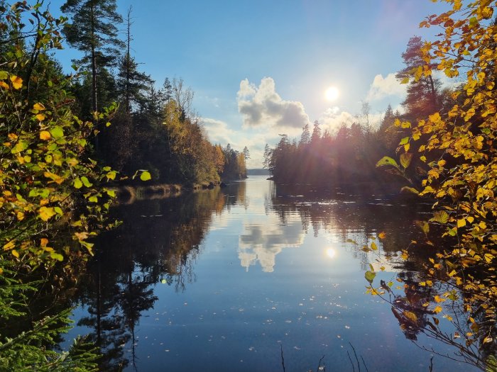 Höstvy med spegling av solen och träd med gula löv i en lugn sjö.