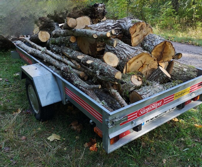 Lastbilssläp fullastat med sälgved och blandat timmer parkerat utomhus.