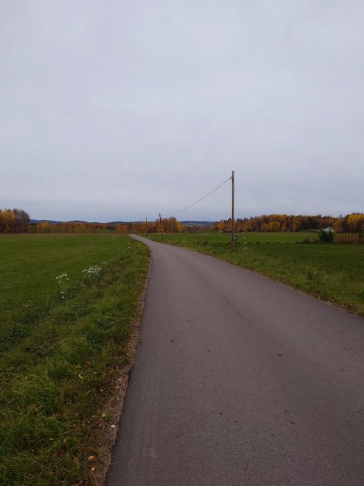 Landsväg som slingrar sig genom ett öppet landskap med höstfärgade träd i bakgrunden.