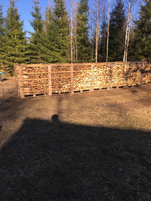 Vedstapel i pallkragar med luftspalt från marken, med skog i bakgrunden.