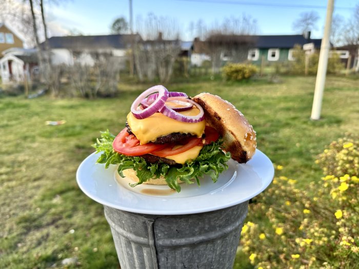 Juicy burger with cheese, lettuce, tomato and onions on a plate outdoors.