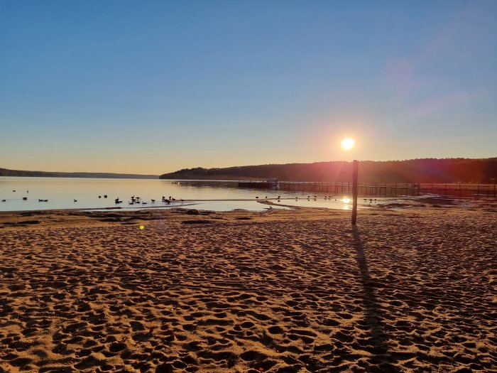 Solnedgång över en strand med fåglar i vattnet och silhuett av en påle i sanden.