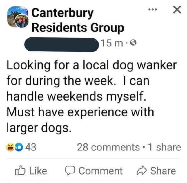 Skärmdump av ett inlägg som söker lokal hundvakt med erfarenhet av stora hundar.