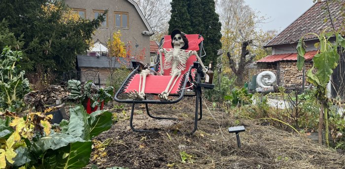 Ett skelett dekorerat med hatt sitter i en trädgårdsstol omgiven av kålväxter och vissna trädgårdsland, redo för vinterns vila.