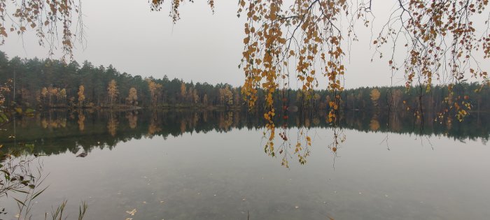 Höstvy över en spegelblank skogssjö med löv i förgrunden och spegelbild av träd.