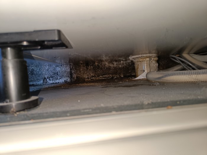 Mögelskador och fuktskador under ett diskbänksskåp med rörinstallationer och elektriska sladdar.