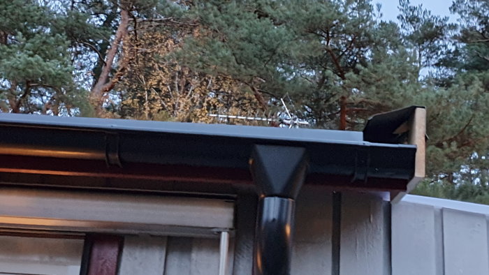 Takränna och stuprör på hus med bakgrund av träd i skymning.