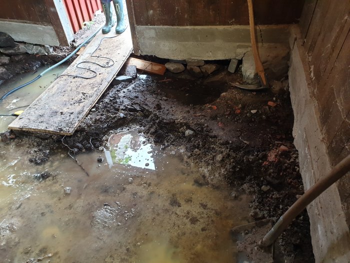 Söndertaget gammalt golv i ett uthus med synlig fukt, nedgrävd grus och sten, samt verktyg för grävarbete.