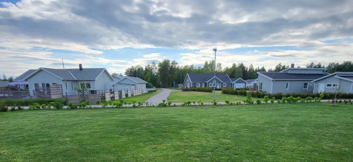 Vy över ett bostadsområde med gräsmatta och flerradiga plantor av vita och lila syrener framför husen.