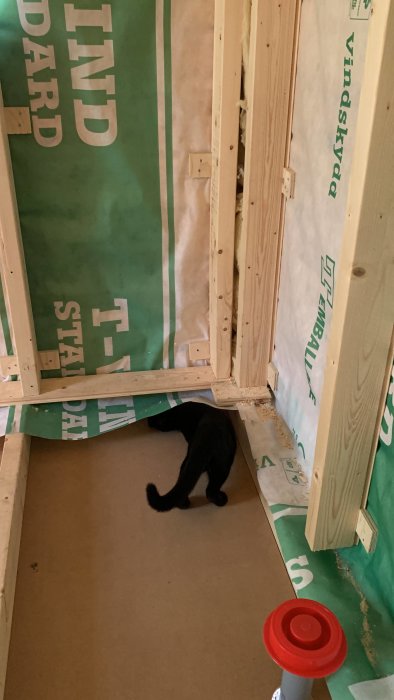 Svart katt undersöker en byggplats med trästomme och isoleringsmaterial.