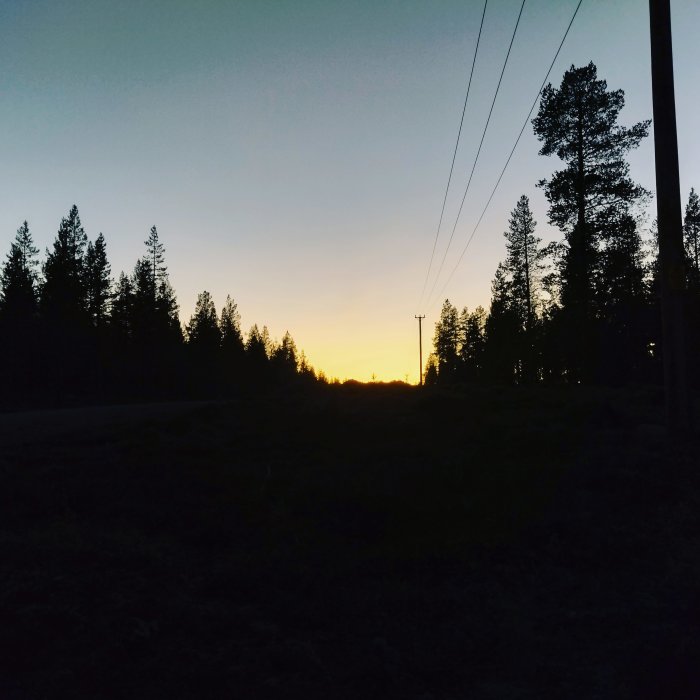 Solnedgång med silhuett av träd och elledningar mot en dramatisk himmel.